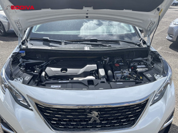 3d822efd-847d-4091-bc69-6660288673ca.jpg