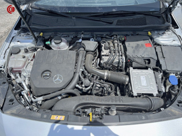 7790050d-9220-4e41-9e5c-661805e5361a.jpg